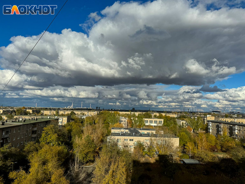 Жителей Волжского просят сообщить, где «торгуют смертью»