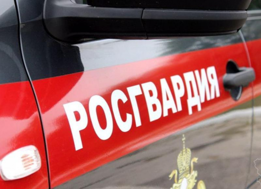 Росгвардия будет контролировать соблюдение карантинных мер в Волгоградской области