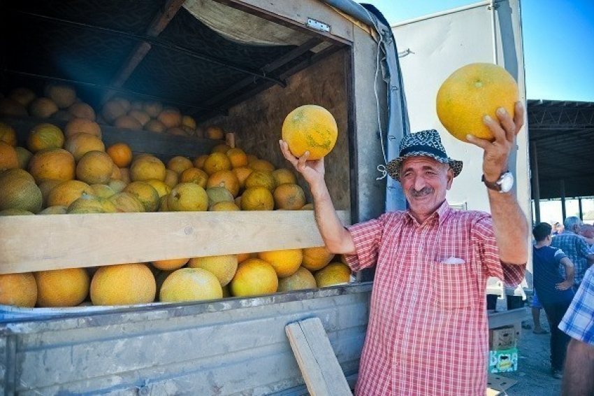 Аграрии Волгоградской области реализовали 519 тысяч тонн продукции