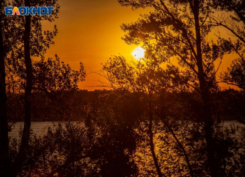 Осенний пикник в лесу волжанам придется отложить