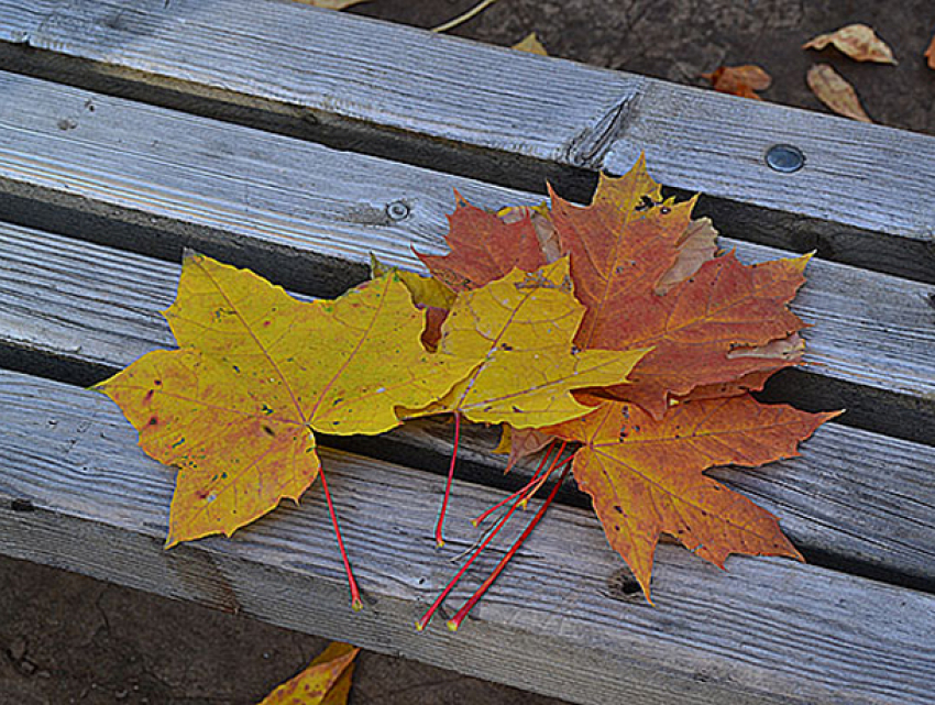 Пятница порадует волжан теплой погодой и выглядывающим солнышком 