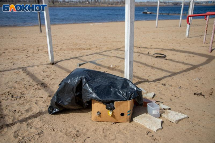 ТОП-5 главных проблем Волжского: о чём на самом деле говорят жители 