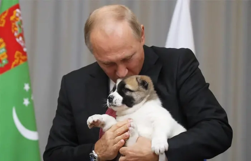 Владимиру Путину сегодня исполняется 74 года
