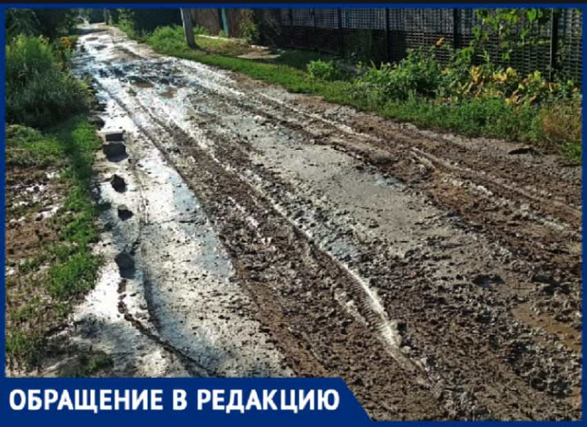«Грязь по колено»: жители волжского СНТ утопают в бездорожье