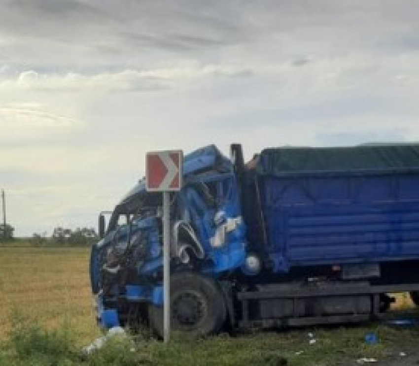 В Волгоградской области дальнобойщик пострадал в жутком лобовом столкновении двух фур