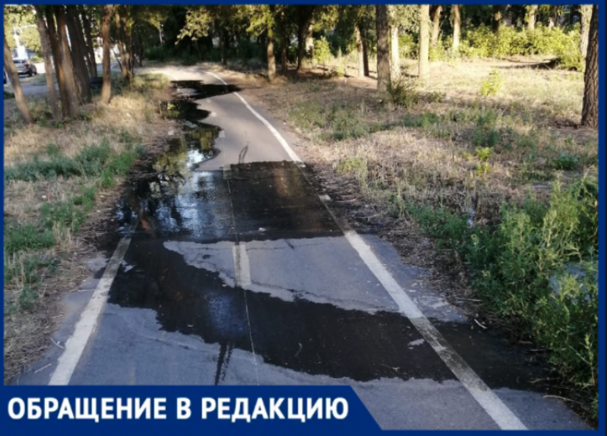 «Рисовые плантации» вместо пешеходной дорожки: канализационный утечка не дает прохода волжанам