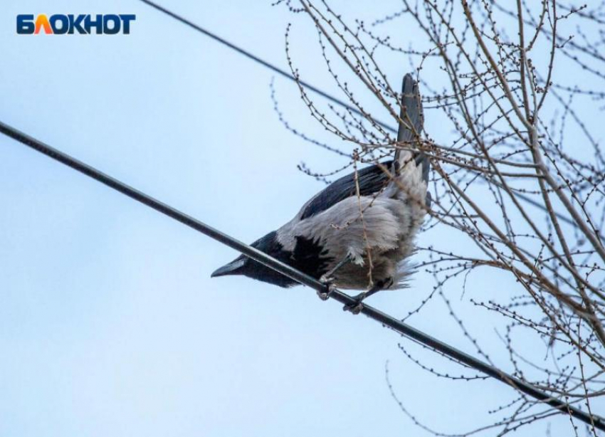 Гороскоп: Овну надо быстро принять решение, а Львы испытают творческий подъем