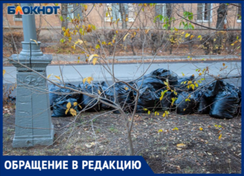 «Хожу по улице и собираю мусор»: волжанка бьет тревогу из-за нового эксперимента с отходами