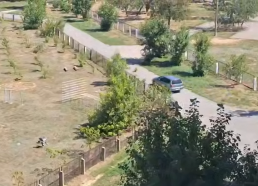 В Волжском легковушки рассекают по тротуару у школы и детсада, чтобы объехать перекресток