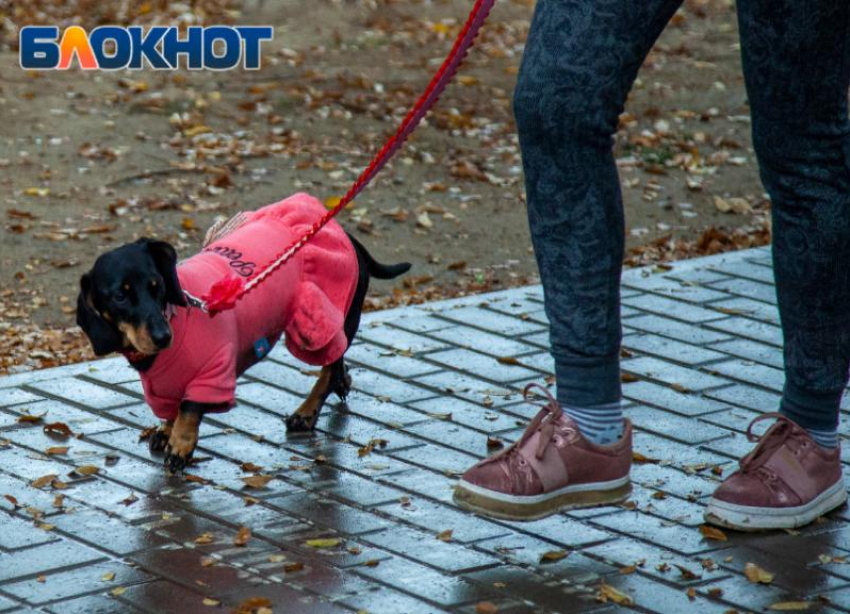 Погода будет честной перед волжанами: дождик и облака