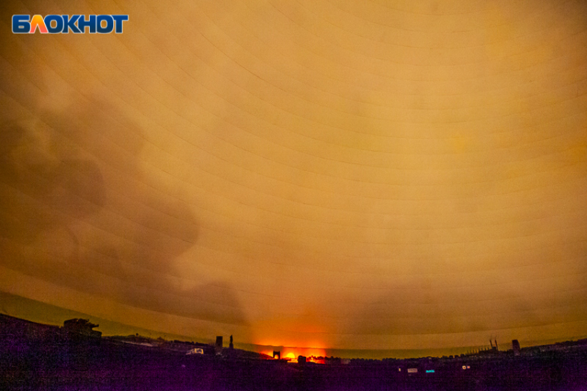 Энергетика дня подтолкнет к исследованию: гороскоп на 24 ноября