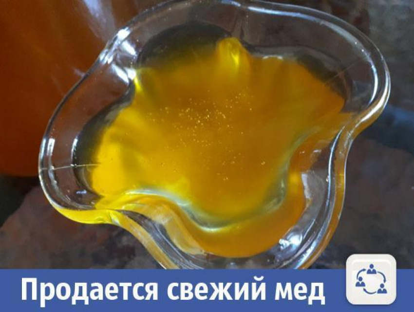 В Волжском продается свежий и натуральный мед