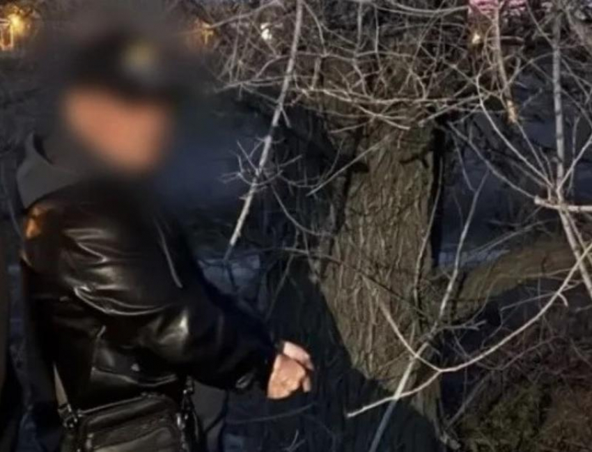 Двое волжан «заказали» наркотики в сети и попали полицейским в руки