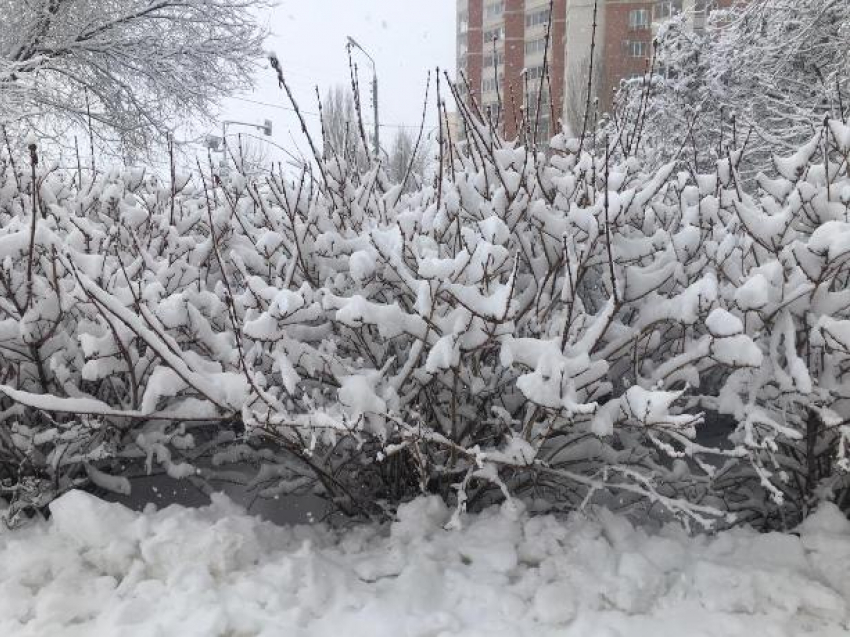 Ветер, снег и «минус» в пятницу обещают синоптики