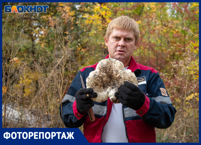 За грибами — в пойму: что фотокорреспондент «Блокнот Волжский» нашёл среди осенней листвы