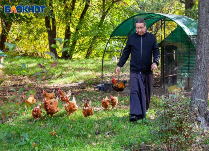 Солнечное и холодное воскресенье ждет волжан: прогноз погоды