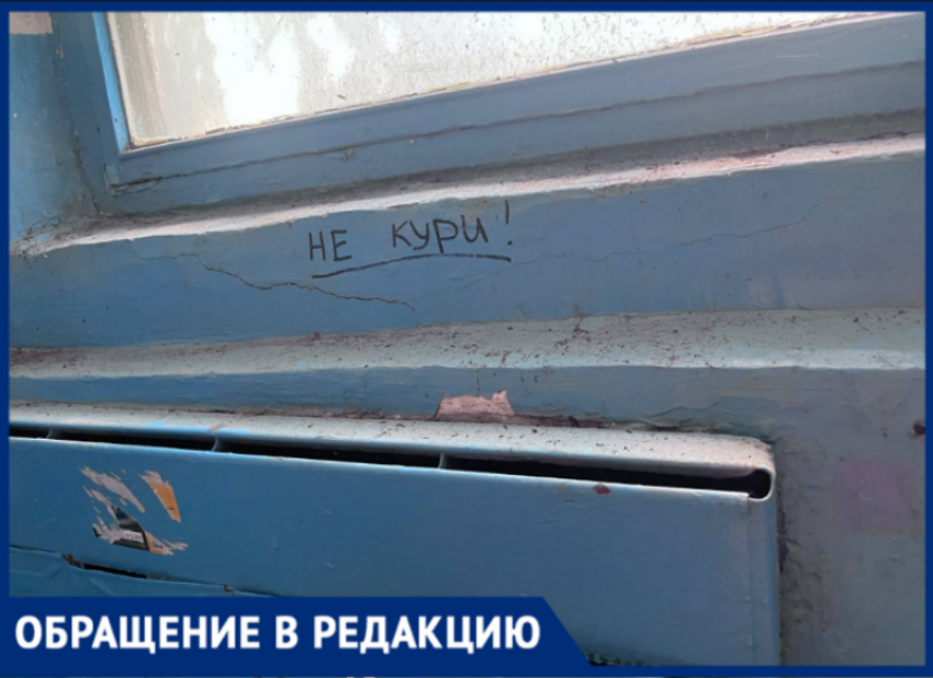 «Пауки стали хозяевами»: жители волжского поселка Рабочий обвиняют УК в тотальной антисанитарии