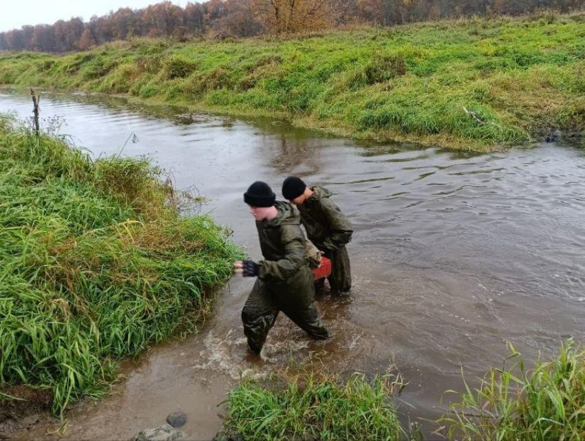Волжские курсанты отличились на военно-патриотических сборах во Владимирской области