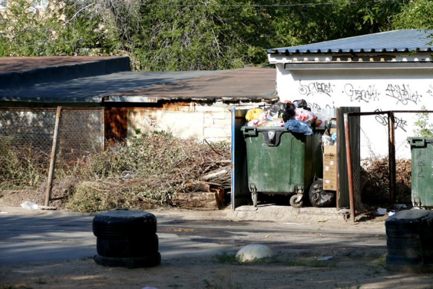 В Волжском введут наказание для жителей за выброс веткой и строительного мусора