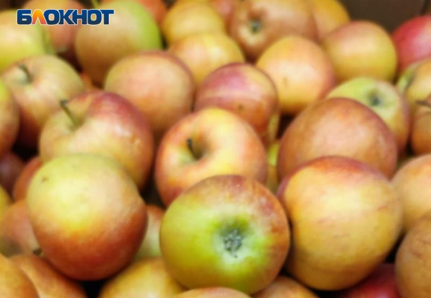 Сколько стоят плоды грехопадения в Волжском: мониторинг цены на яблоки