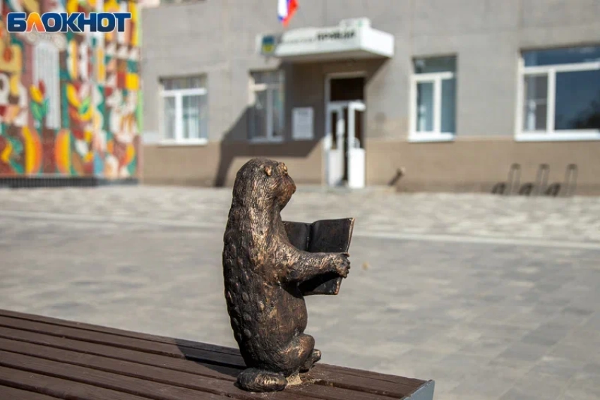 За сломанного суслика — восемь месяцев условно: в Волжском вынесли приговор похитителю городской скульптуры