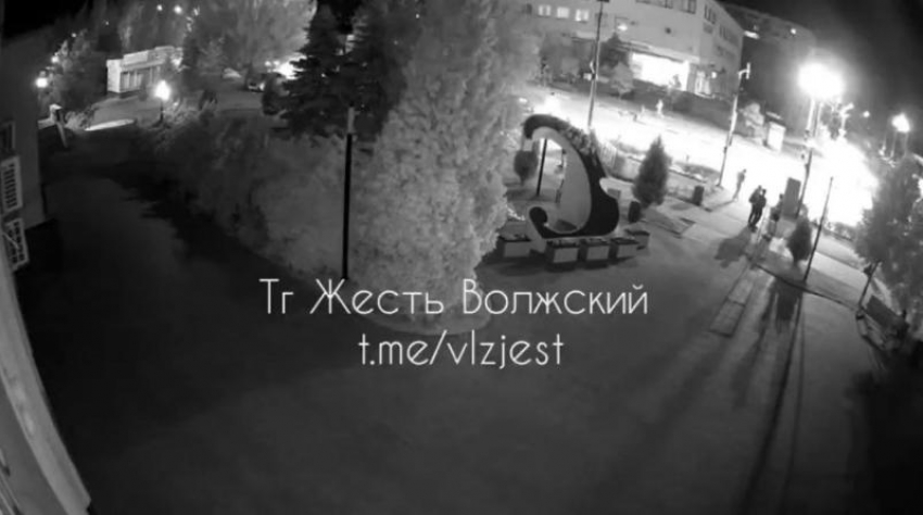Похитительница цветов разорила клумбу а ЗАГСа в Волжском: видео