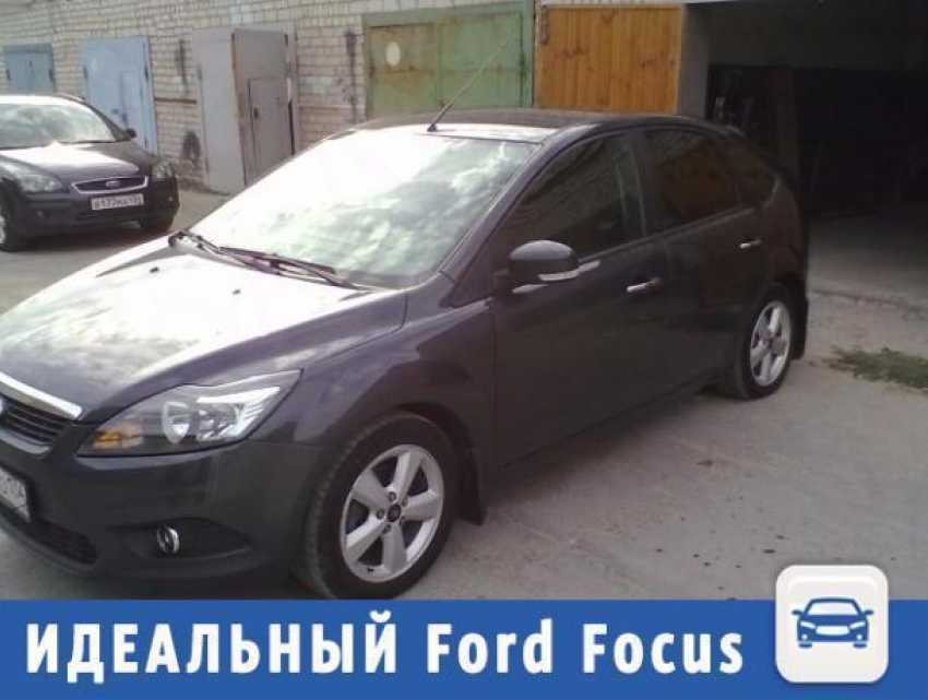 Идеальный Ford Focus предложили купить волжанам