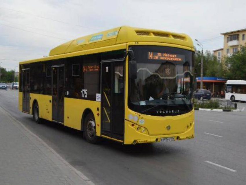 В Волгоградской области возобновлено движение общественного транспорта