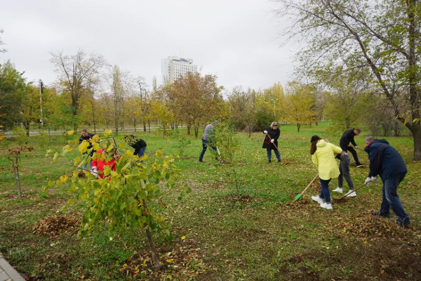 В Волжском наведут порядок: стартует месячник по благоустройству