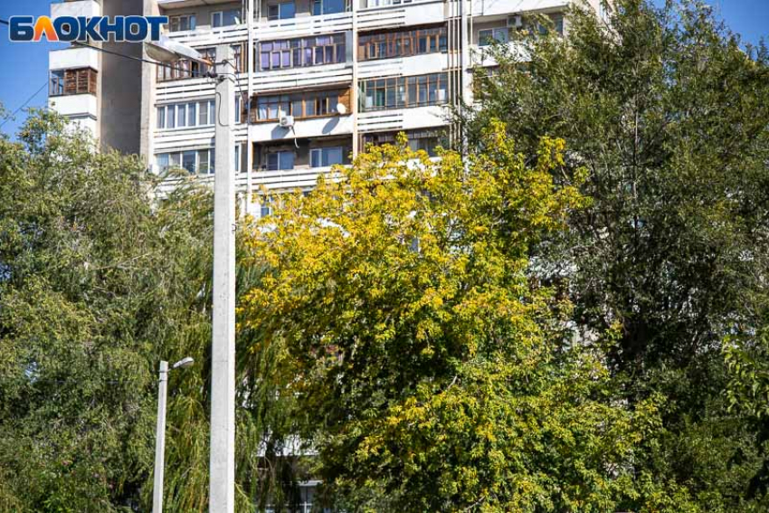 В Волжском обсуждают мужчину со спущенными штанами у школы