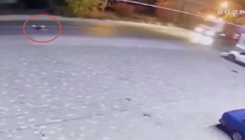 В Волгограде мужчина лег на дорогу и погиб под колесами автомобиля