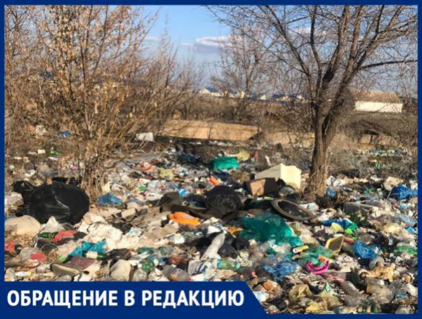 "Рядом со свалкой живут дети сироты", - волжанка