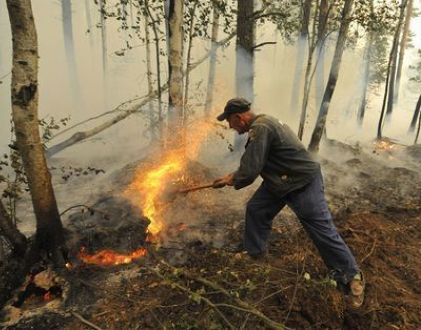 В МЧС объявили экстренное предупреждение из-за жары: волжан просят воздержаться от выездов на природу 