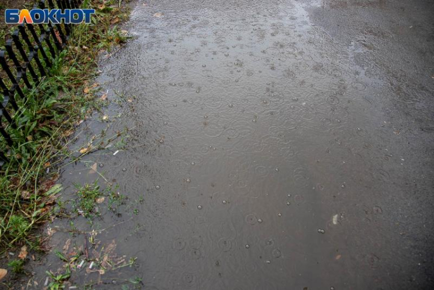 Дождливую среду прогнозируют в Волжском