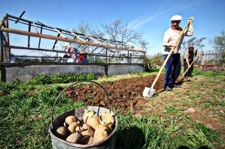 Земельный налог ввели для садоводов и дачников в Волжском