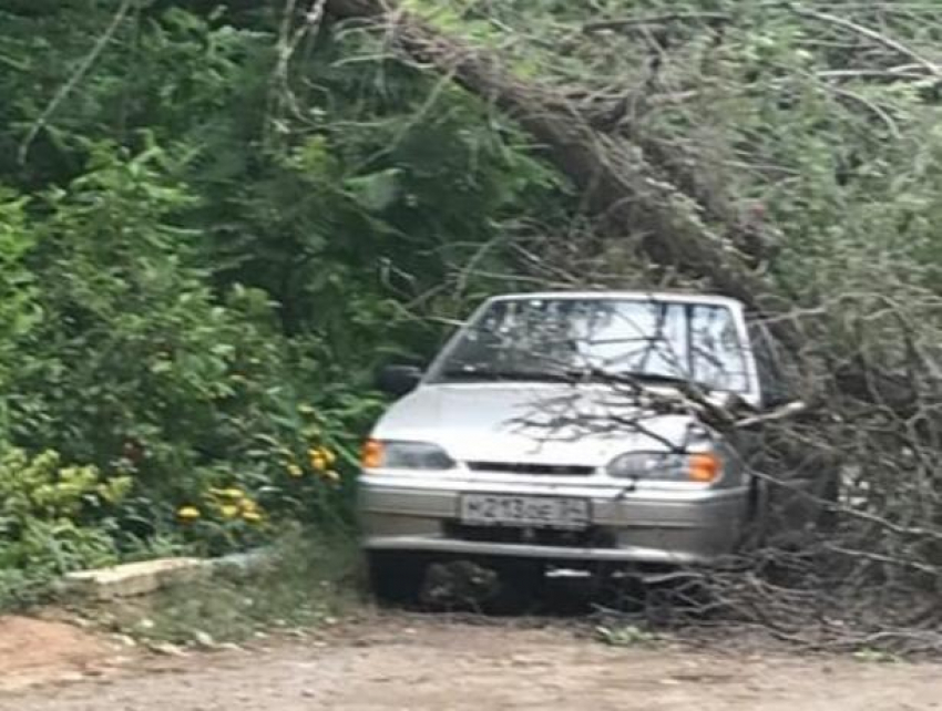 Волжане считают упавшие деревья и пострадавшие машины 