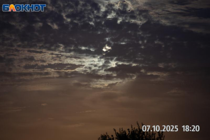 День Андрона Звездочета: волшебство осеннего неба и приметы