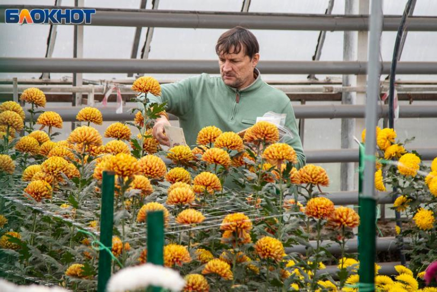 Михайлов день: традиции осеннего праздника