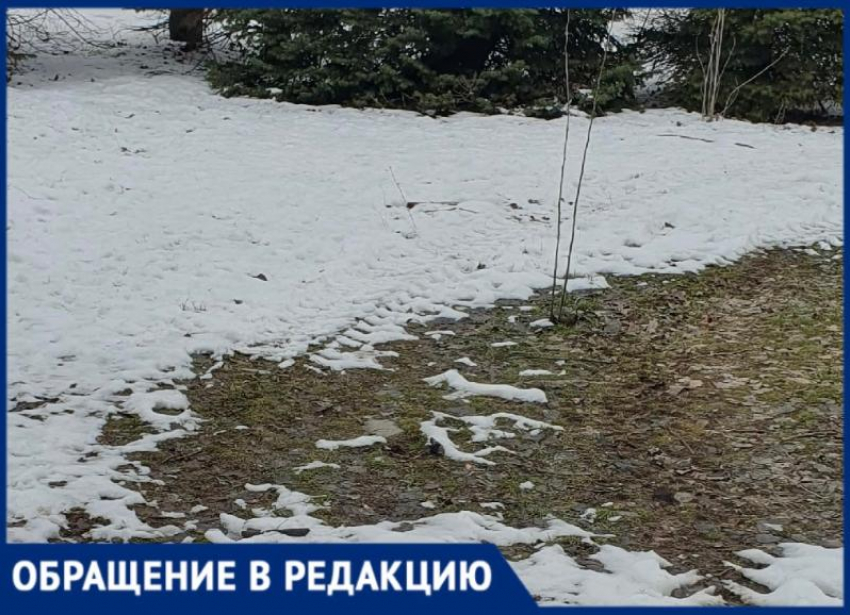 Снег убрали - деревья сломали: жители Волжского бьют тревогу