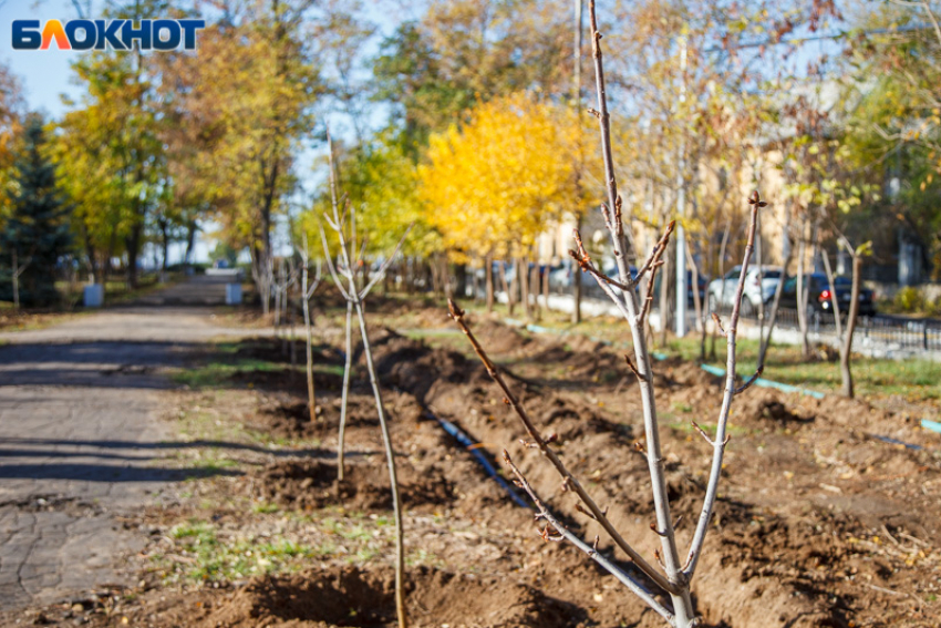 2 тысячи кубометров листвы собрали в Волжском в рамках осеннего месячника 