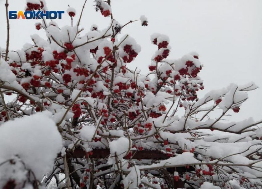 Магнитная буря и холод ждут волжан в субботу: прогноз погоды