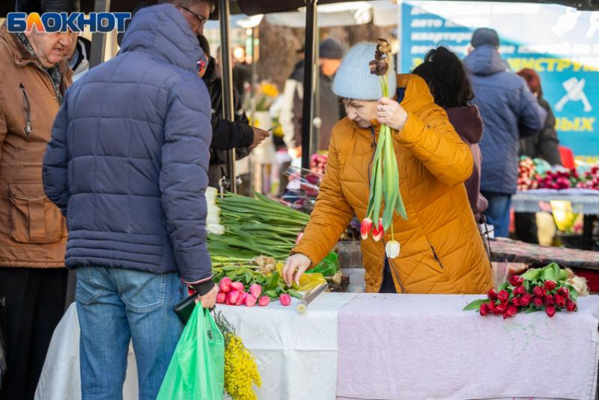 В Волжском самозанятые могут формировать свою пенсию самостоятельно