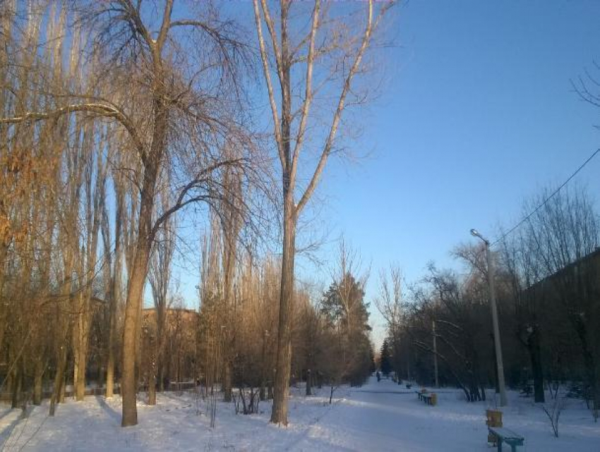 Облачно, с прояснениями будет в День воинской славы России в Волжском