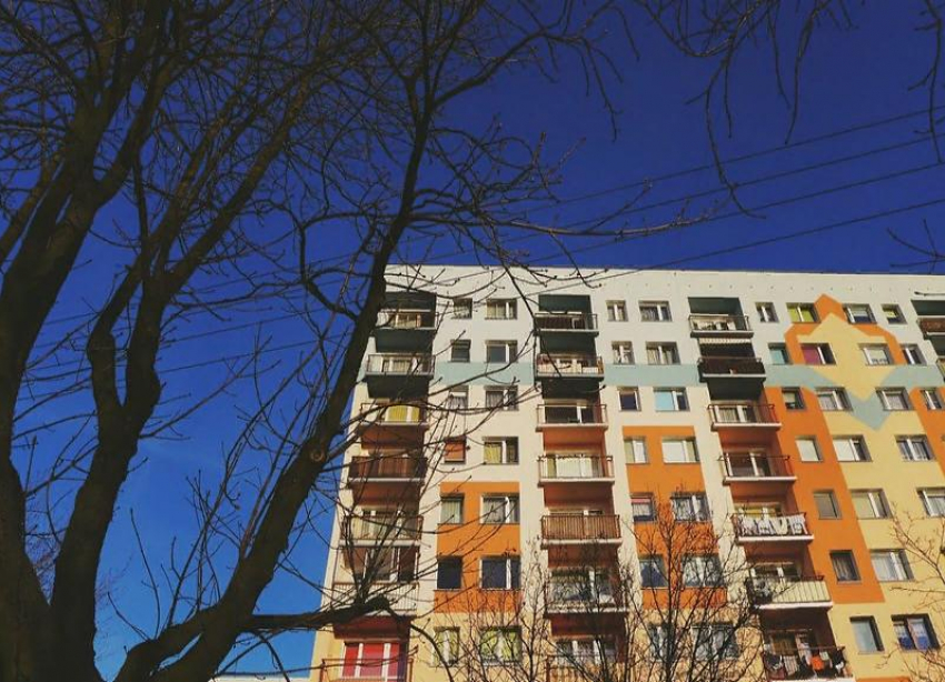 Освободят от штрафов за отсутствие регистрации, но не всех