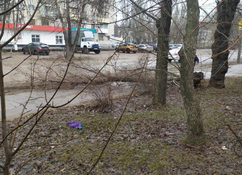 Последствия штормового ветра в Волжском попали на фото