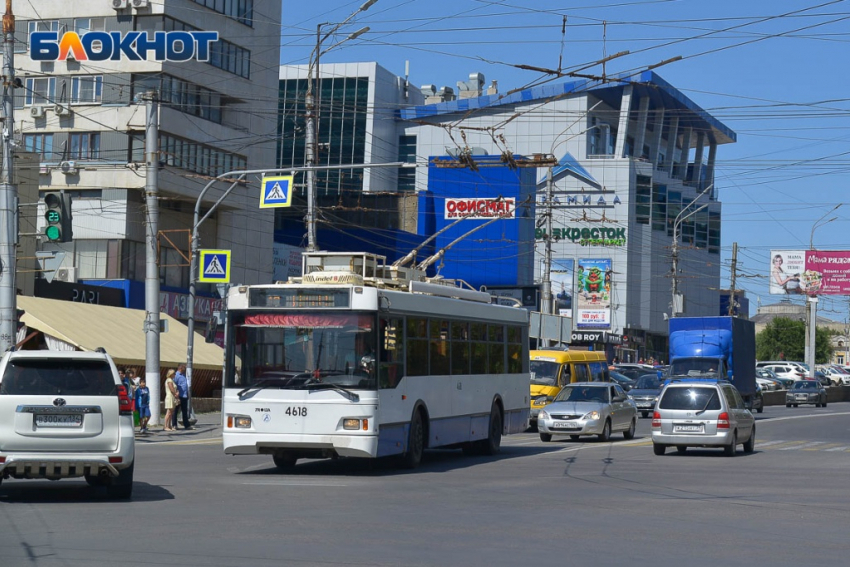 Волжане молят председателя Госдумы о помощи с безопасным транспортом