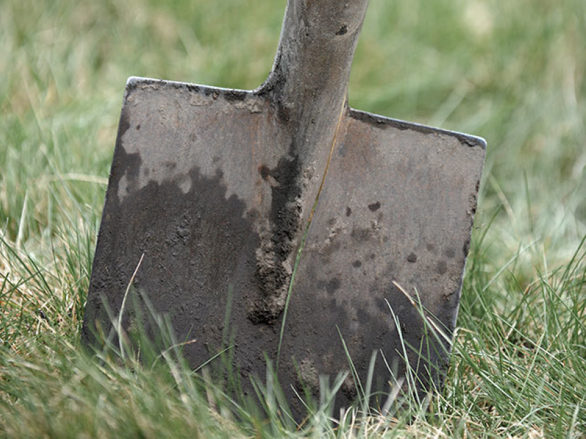 Камышанка убила брата и закопала его тело в саду