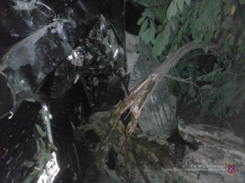В Волжском водителя Datsun госпитализировали после столкновения с деревом