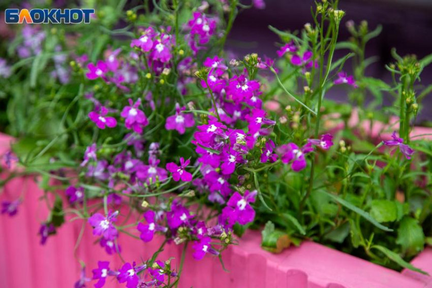 День будет переполнен энергией: гороскоп на 25 апреля