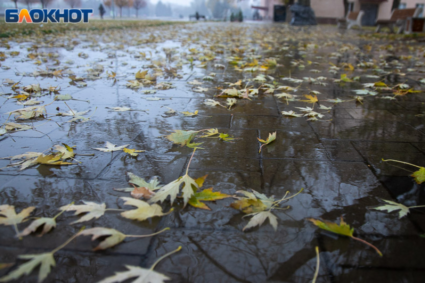 Циклон «Бернвард» с резким похолоданием и ливнями надвигается на Волжский